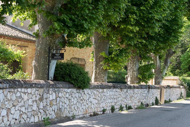 Le Mas Des Oules Saint-Victor-des-Oules Bagian luar foto